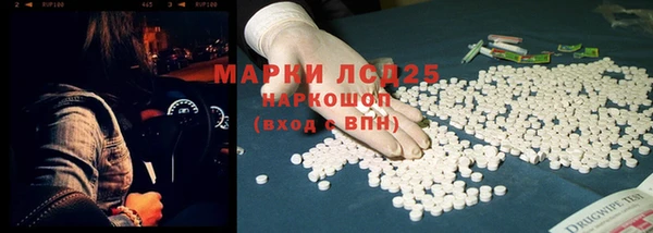 спайс Няндома