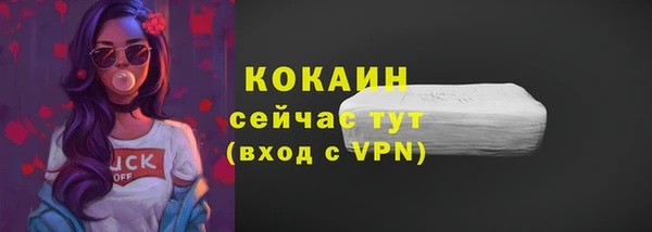 спайс Няндома