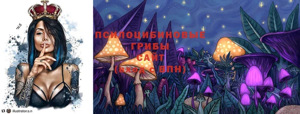 спайс Няндома