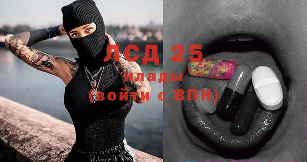 спайс Няндома