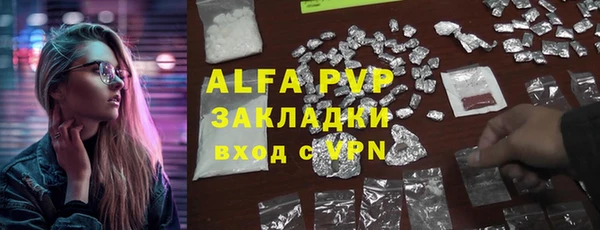 индика Бикин
