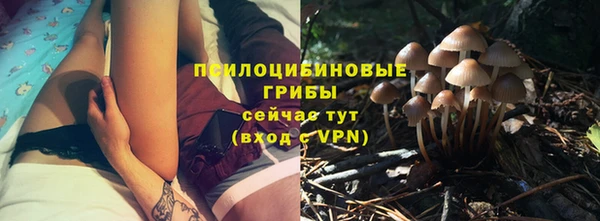 круглые Нягань