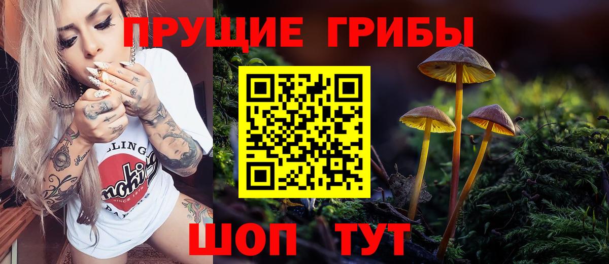 Урус-Мартан  закладки  Вход с VPN  Галлюциногенные грибы Cubensis 