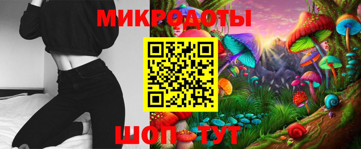 Галлюциногенные грибы Cubensis Урус-Мартан