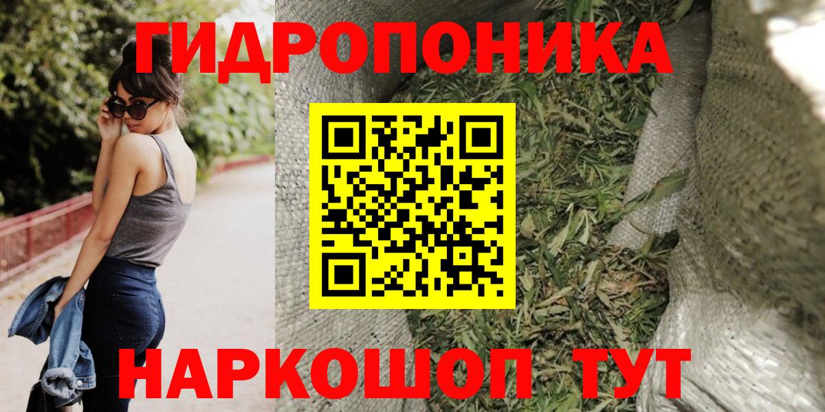 Каннабис гибрид Урус-Мартан